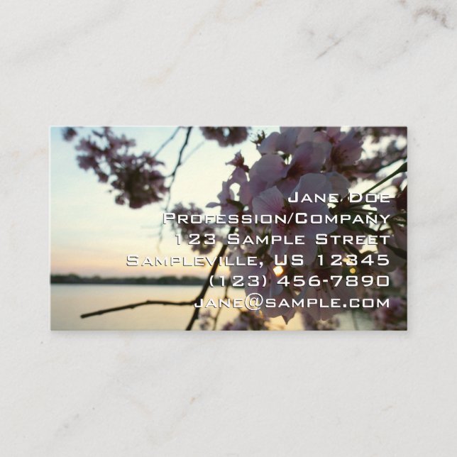 Carte De Visite Cherry Blossom Sunset in Washington DC (Devant)