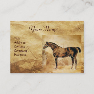CARTE DE VISITE CHEVAL ANGLAIS EN CHEVAL STABLE