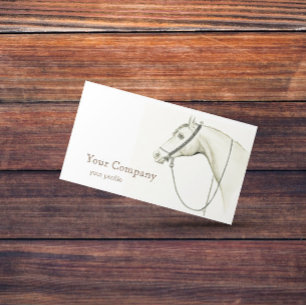 Carte De Visite Cheval arabe avec sellerie bédouine