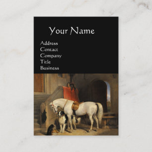 CARTE DE VISITE CHEVAL BLANC AVEC CHIENS ET CHIENS EN VERT STABLE