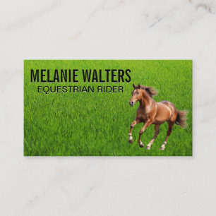 Carte De Visite Cheval Brown