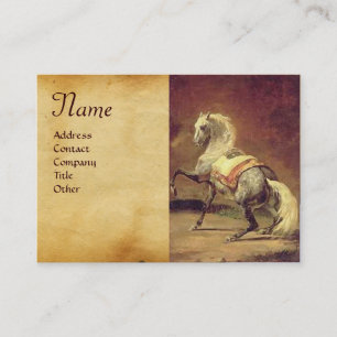 CARTE DE VISITE CHEVAL DE CHEVAL GRAY REMPLI