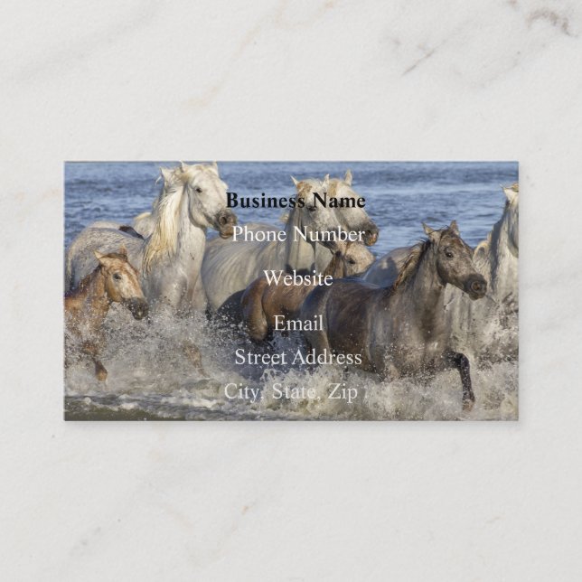 Carte De Visite Chevaux galopant dans l'eau (Devant)