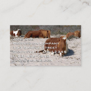 Carte De Visite Chevaux Sauvages Faisant la Sieste au Parc Nationa