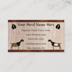 Carte De Visite Chèvre laitière naine nigériane