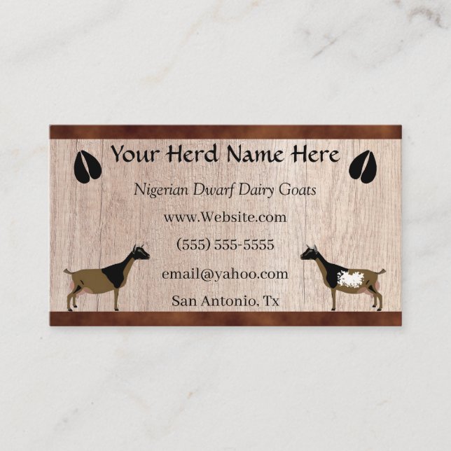 Carte De Visite Chèvre laitière naine nigériane (Devant)