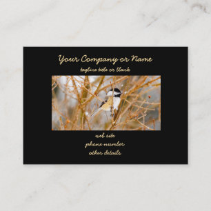 Carte De Visite Chickadee au plafond noir - Photo originale