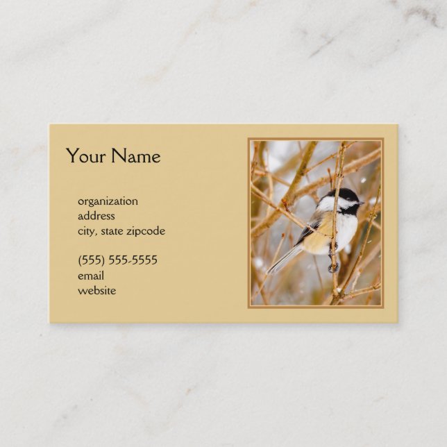 Carte De Visite Chickadee au plafond noir - Photo originale (Devant)