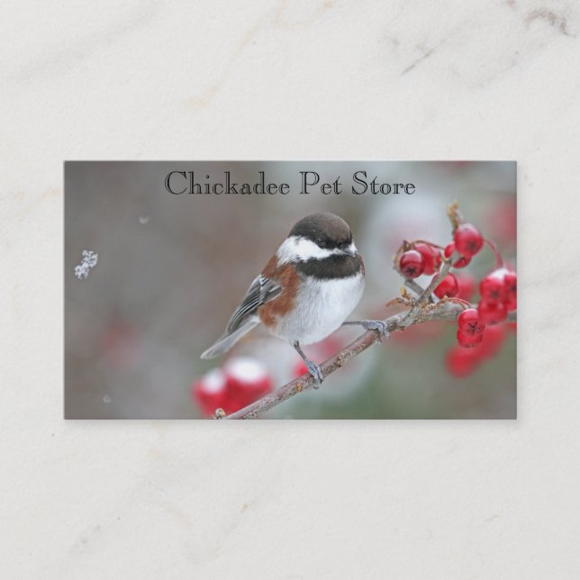 Carte De Visite Chickadee dans la neige en baisse avec les baies (Devant)