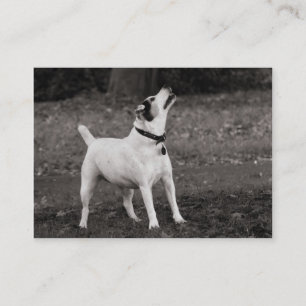 Carte De Visite Chien Agog