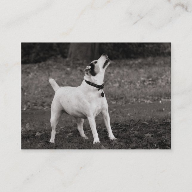 Carte De Visite Chien Agog (Devant)