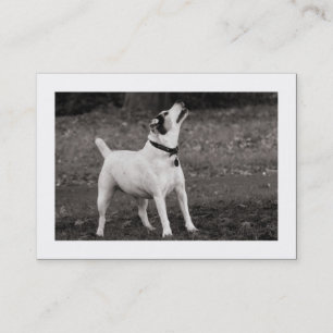 Carte De Visite Chien Agog (frontière)