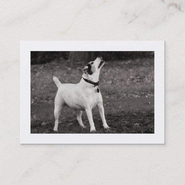 Carte De Visite Chien Agog (frontière) (Devant)