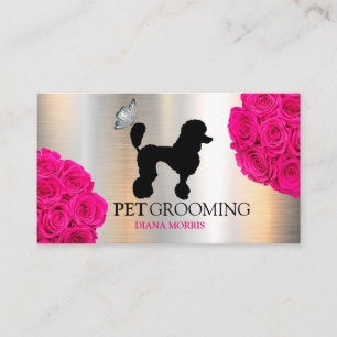 Carte De Visite Chien Animal Animaux Animaux Logo Clinique vétérin