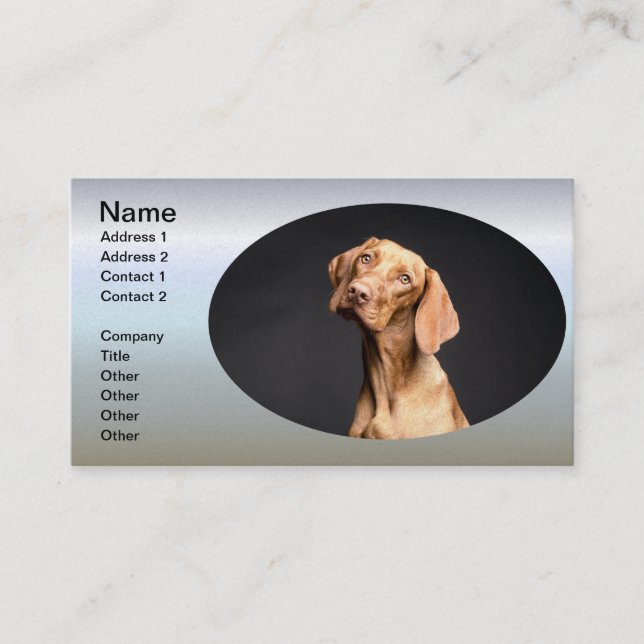 Carte De Visite Chien Beagle Brown animal (Devant)