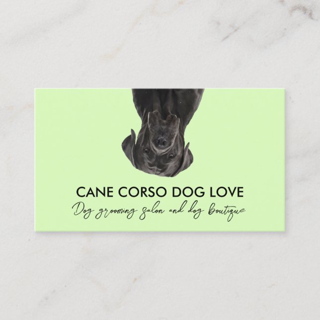 Carte De Visite Chien Cane Corso Noir Vert (Devant)