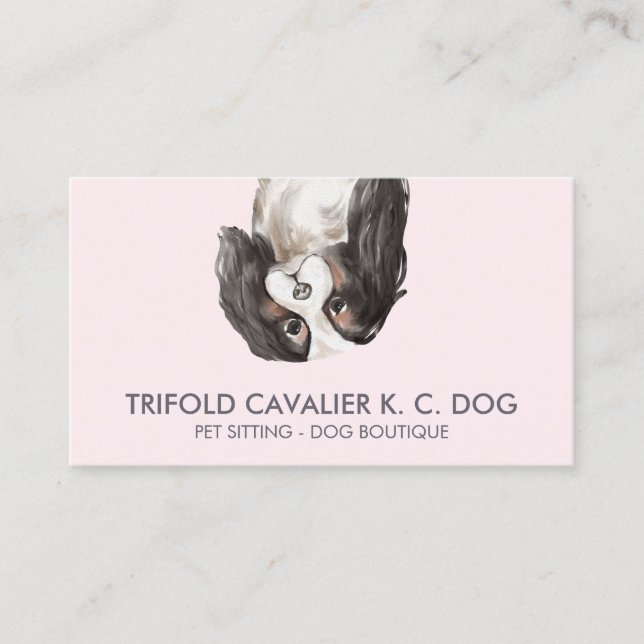Carte De Visite chien cavalier king charles trifold (Devant)