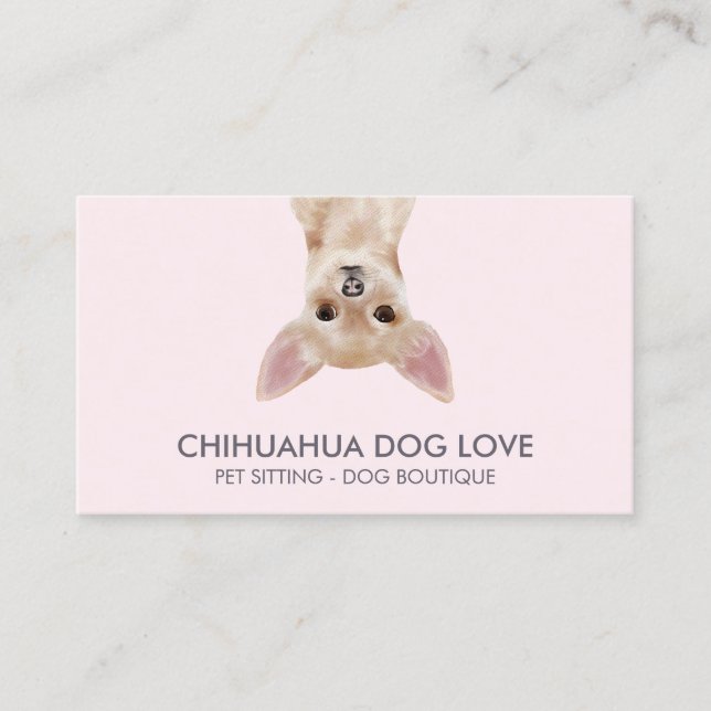 Carte De Visite Chien Chihuahua (Devant)
