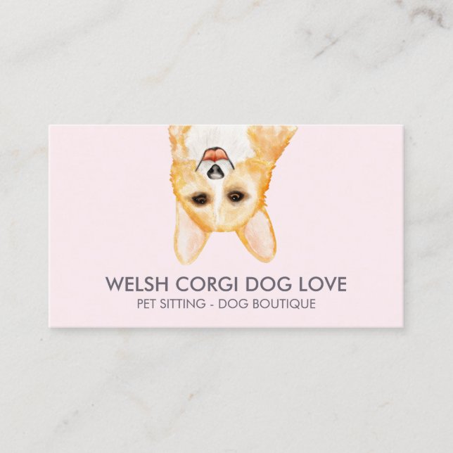 Carte De Visite Chien Corgi Gallois (Devant)