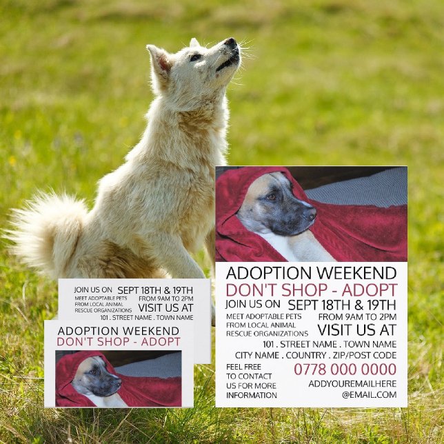 Carte De Visite Chien dans Red Blanket, Pet Adoption Evénement Pub (Créateur téléchargé)