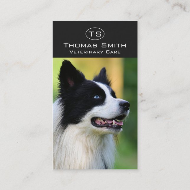 Carte De Visite Chien de berger border collie noir et blanc (Devant)