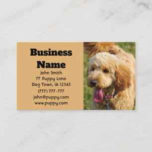 Carte De Visite Chien de Goldendoodle