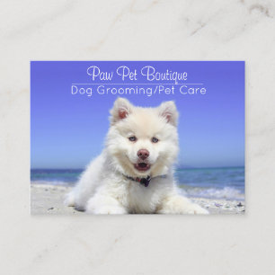 Carte De Visite Chien Groomer Animaux de compagnie marcheur de mar