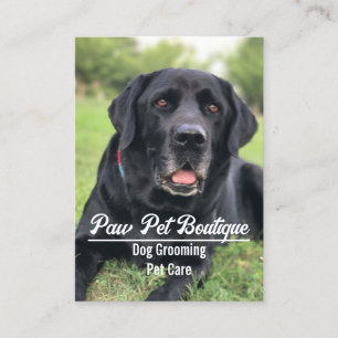 Carte De Visite Chien Groomer Animaux de compagnie marcheur de mar