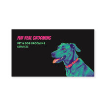 Chien Groomer Soin Chien Noir