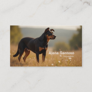 Carte De Visite Chien Rotweiller