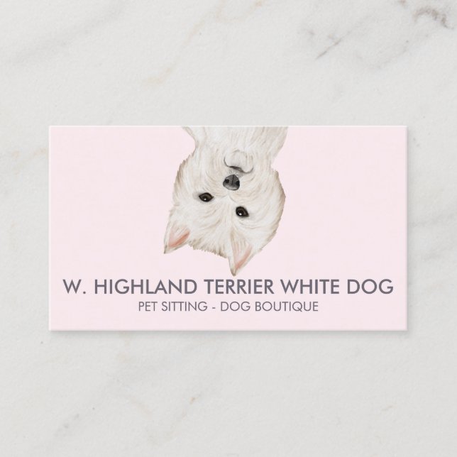 Carte De Visite Chien Terrier West Highland Blanc (Devant)