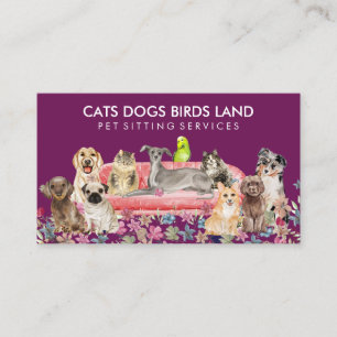 Carte De Visite Chien Violet Chat Oiseau Hôtel Canapé Garde d'Anim