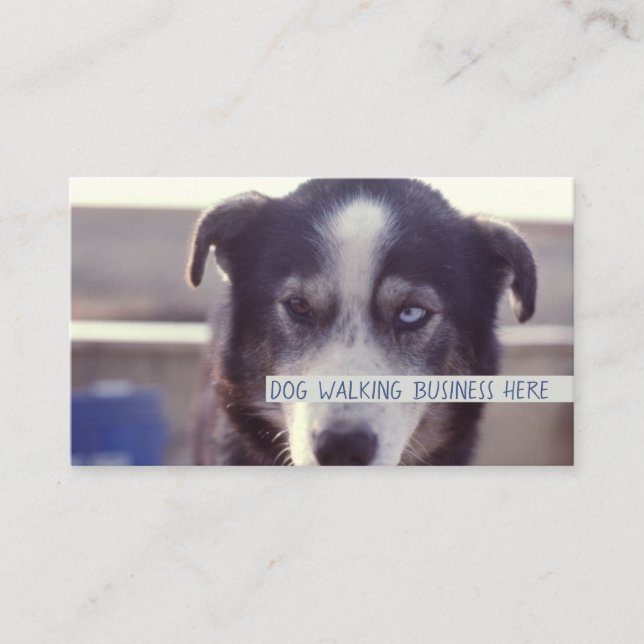 Carte De Visite Chien Walker (Devant)
