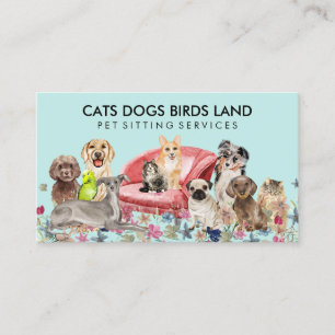 Carte De Visite Chiens Chats Oiseaux Hôtel Canapé Garde Toilettage