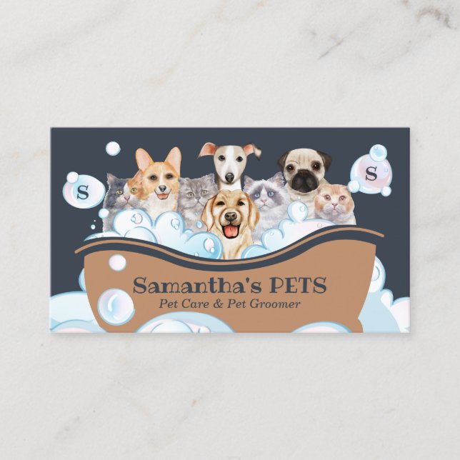 Carte De Visite Chiens Cutest Chats Spa Sitter Groom PetCare Bain (Devant)