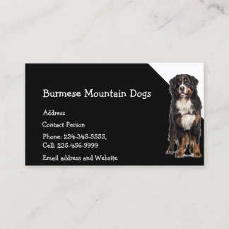 Carte De Visite Chiens de montagne birmans éleveurs Animaux domest