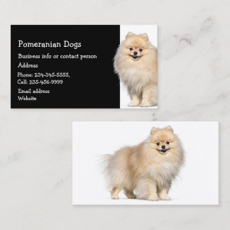 Carte De Visite Chiens de Poméranie éleveur Animaux de compagnie