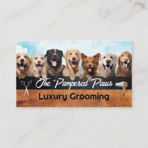 Carte De Visite Chiens heureux dans un groupe