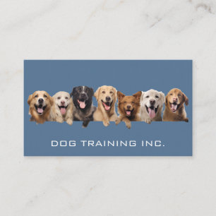 Carte De Visite Chiens souriants   Services animaux