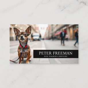 Carte De Visite Chihuahua sur le trottoir de la ville