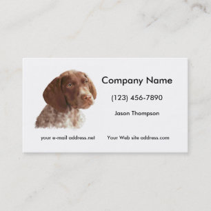 Carte De Visite Chiot de Shorthair d'Allemand