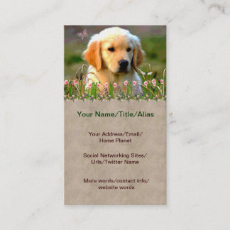 Carte De Visite Chiot d'or d'Austin Labrador