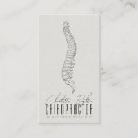 Chiropraticien De La Spine Anatomique