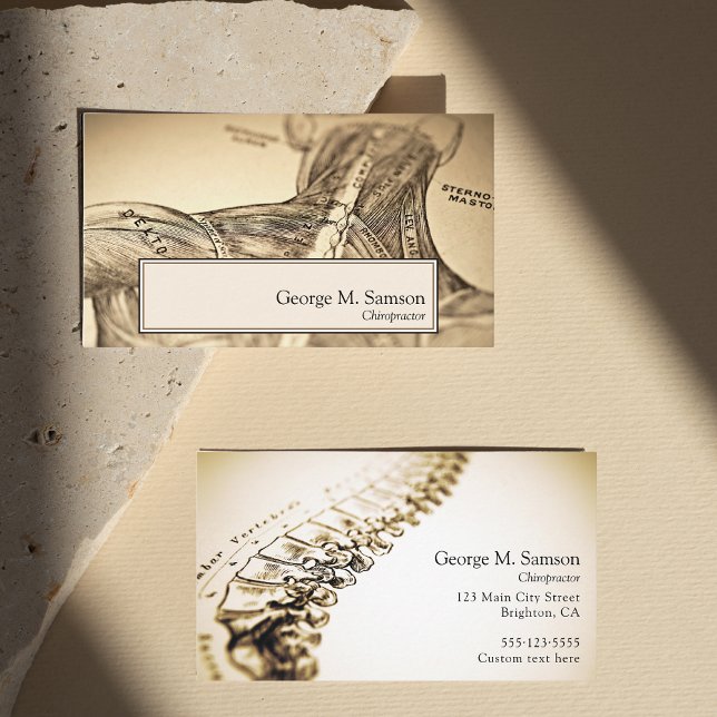 Carte De Visite Chiropraticien d'illustration anatomique antique (Créateur téléchargé)