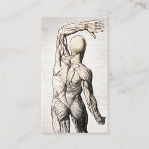 Carte De Visite Chiropratique Vintage Lin Anatomie Chiropracteur