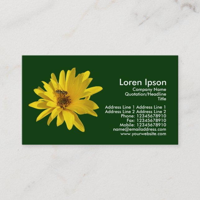 Carte De Visite Chrysanthème et vol stationnaire - Vert foncé (Devant)