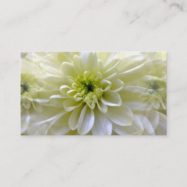 CARTE DE VISITE CHRYSANTHEMUM (Devant)