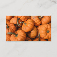 Citrouille Patch Orange Harvest Garden Gourds Phot