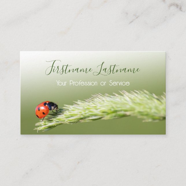Carte De Visite Clients chanceux avec des coccinelles chanceux ! (Devant)