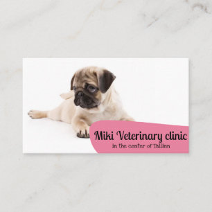 Carte de visite Clinique vétérinaire Animaux de co